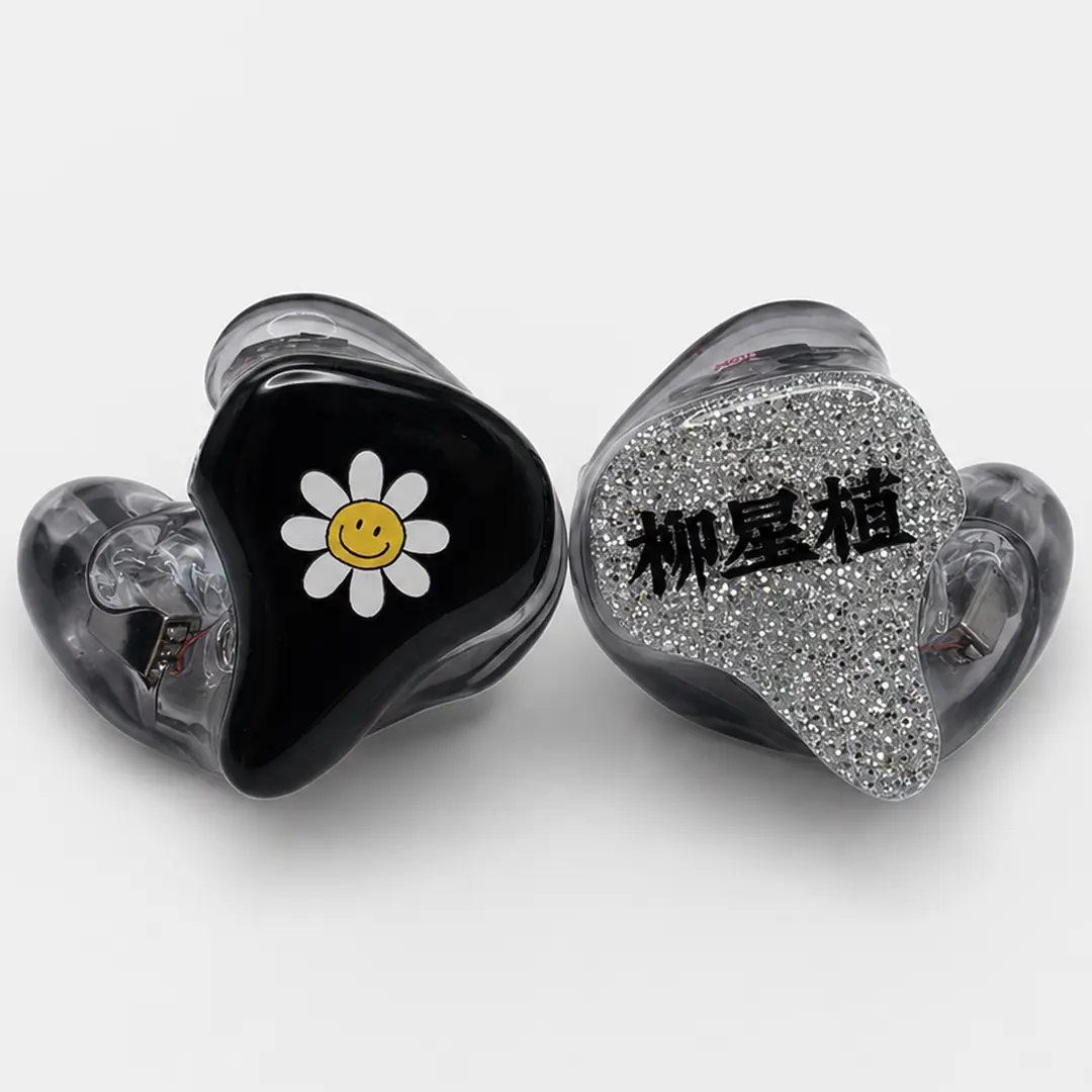 Customer custom IEM